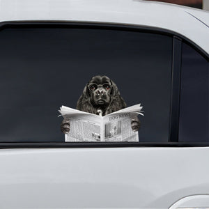 Have You Read The News Today - American Cocker Spaniel Car/ Door/ Fridge/ Laptop Sticker V1