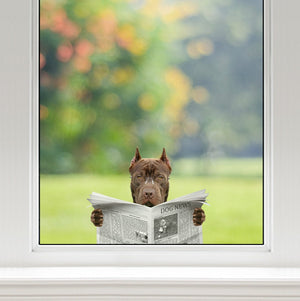 Have You Read The News Today - American Pit Bull Terrier Car/ Door/ Fridge/ Laptop Sticker V1