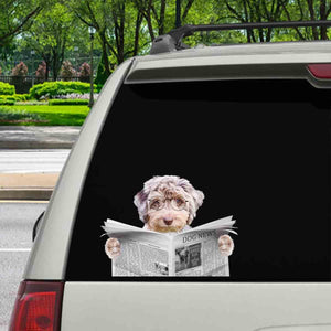 Have You Read The News Today - Aussiedoodle Car/ Door/ Fridge/ Laptop Sticker V1