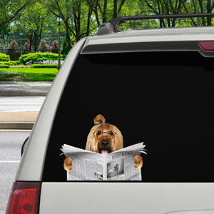 Have You Read The News Today - Briard Car/ Door/ Fridge/ Laptop Sticker V1