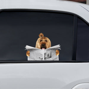 Have You Read The News Today - Briard Car/ Door/ Fridge/ Laptop Sticker V1
