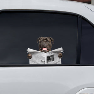 Have You Read The News Today - Bullmastiff Car/ Door/ Fridge/ Laptop Sticker V1