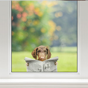 Have You Read The News Today - Curly Coated Retriever Car/ Door/ Fridge/ Laptop Sticker V1