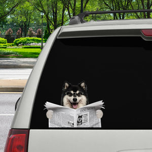 Have You Read The News Today - Finnish Lapphund Car/ Door/ Fridge/ Laptop Sticker V1