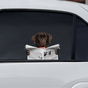Have You Read The News Today - Labrador Car/ Door/ Fridge/ Laptop Sticker V1
