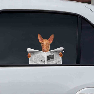 Have You Read The News Today - Pharoah Hound Car/ Door/ Fridge/ Laptop Sticker V1