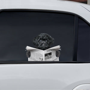 Have You Read The News Today - Poodle Car/ Door/ Fridge/ Laptop Sticker V1