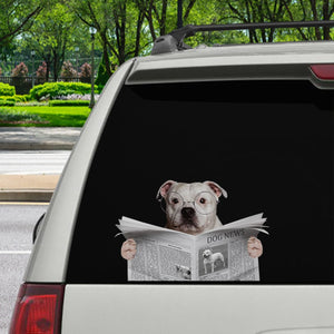 Have You Read The News Today - Staffordshire Bull Terrier Car/ Door/ Fridge/ Laptop Sticker V1