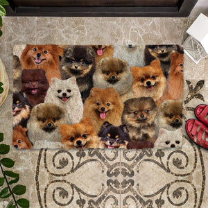 A Bunch Of Pomeranians Doormat