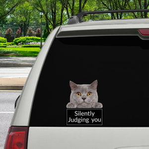 Silently Judging You - British Shorthair Cat Car/ Door/ Fridge/ Laptop Sticker V1