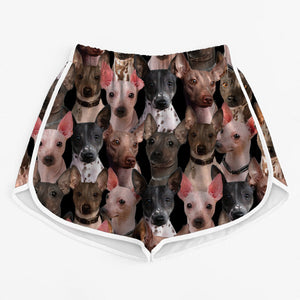 You Will Have A Bunch Of American Hairless Terriers - Women Shorts V1