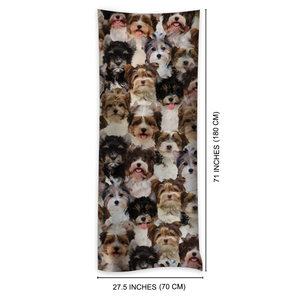 You Will Have A Bunch Of Biewer Terriers - Scarf V1