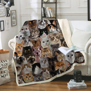 You Will Have A Bunch Of Cats - Blanket V1