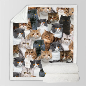 You Will Have A Bunch Of Exotic Cats - Blanket V1