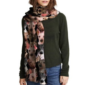 You Will Have A Bunch Of American Hairless Terriers - Scarf V1