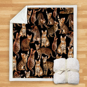 You Will Have A Bunch Of Bengal Cats - Blanket V1