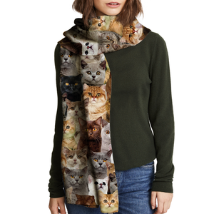 You Will Have A Bunch Of British Shorthair Cats - Scarf V1