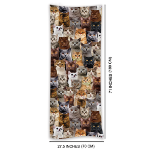 You Will Have A Bunch Of British Shorthair Cats - Scarf V1