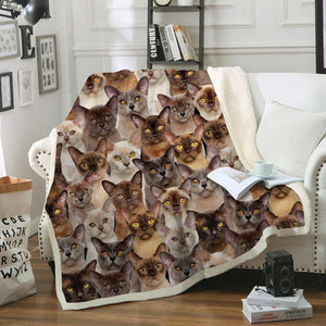 You Will Have A Bunch Of Burmese Cats - Blanket V1