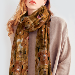 You Will Have A Bunch Of Nova Scotia Duck Tolling Retrievers - Scarf V1