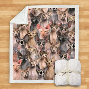 You Will Have A Bunch Of Sphynx Cats - Blanket V1